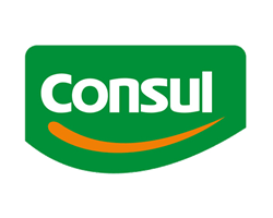 Consul